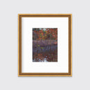 Aspetuck I - Open Edition Canvas Print