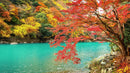 Colorful Teal Water Lake View Landscape Wallpaper Mural.