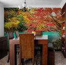 Colorful Teal Water Lake View Landscape Wallpaper Mural.