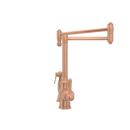 One-Handle Brushed Gold Pot Filler Kitchen Faucet with Side Sprayer - AK96918P1
