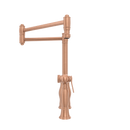 One-Handle Brushed Gold Pot Filler Kitchen Faucet with Side Sprayer - AK96918P1