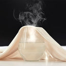 100% Microfiber Jersey Knit Sheet Set with Pillowcases-Beige