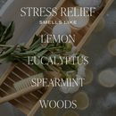 Stress Relief Tinted Glass Jar Reed Diffuser