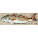 Bald Head Island Fish | Wall Art Print on Real Wood