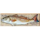 Thank You Bald Head Conservancy Fish | Wall Art Print on Real Wood