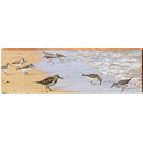 Bald Head Island Sand Pipers BAL2 | Wall Art Print on Real Wood