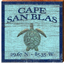 Cape San Blas Sea Turtle | Wall Art Print on Real Wood