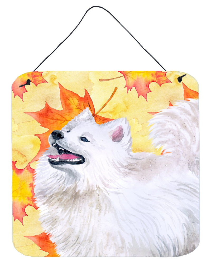 Samoyed Fall Wall or Door Hanging Prints BB9952DS66