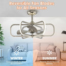 30" Theron Modern DC Motor Downrod Mount Reversible Ceiling Fan with LED Lighting and Remote Control