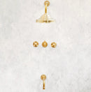 Classic Brass Shower Head and Handheld Assembly