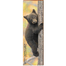Deep Creek Lake Black Bear Cub | Wall Art Print on Real Wood
