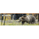 Deep Creek Lake Brown Bear in Meadow | Wall Art Print on Real Wood