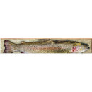 Deep Creek Lake Fish | Wall Art Print on Real Wood