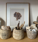 Antique Honey Pot - Bleached
