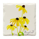 Maryland Black Eyed Susans