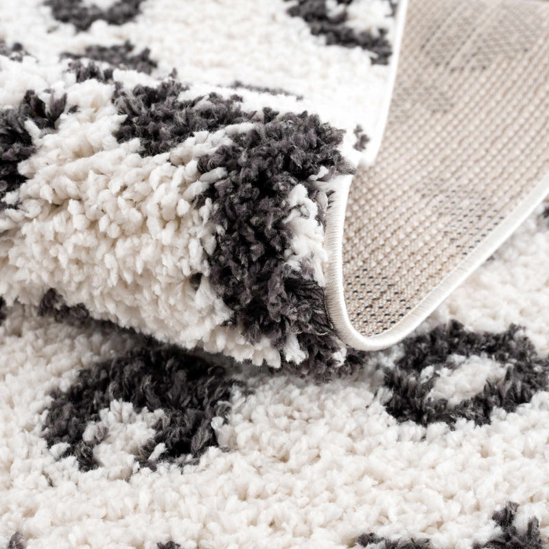 Zhen Black & White Area Rug