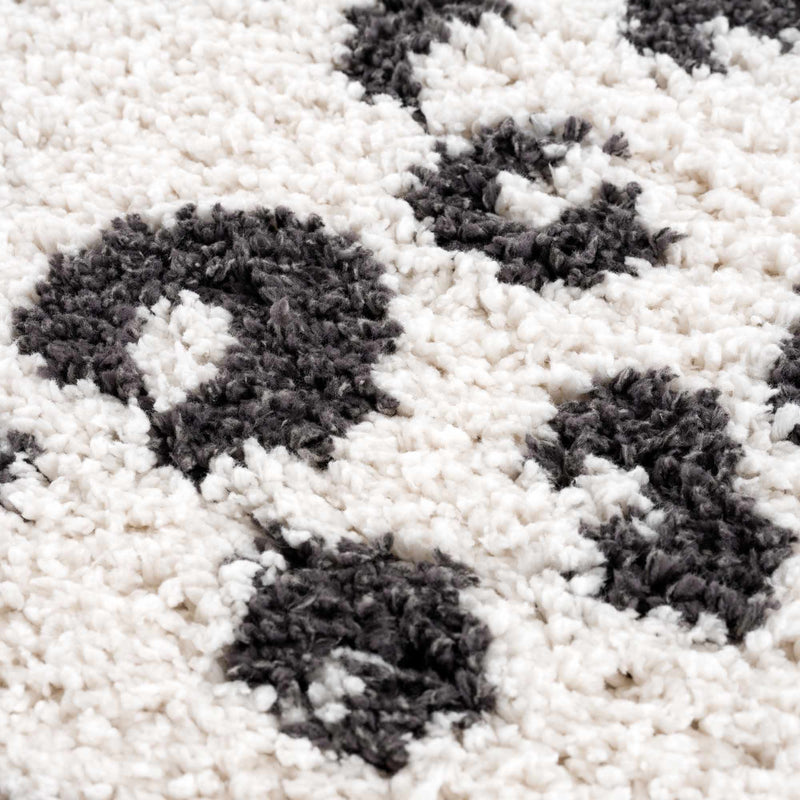 Zhen Black & White Area Rug