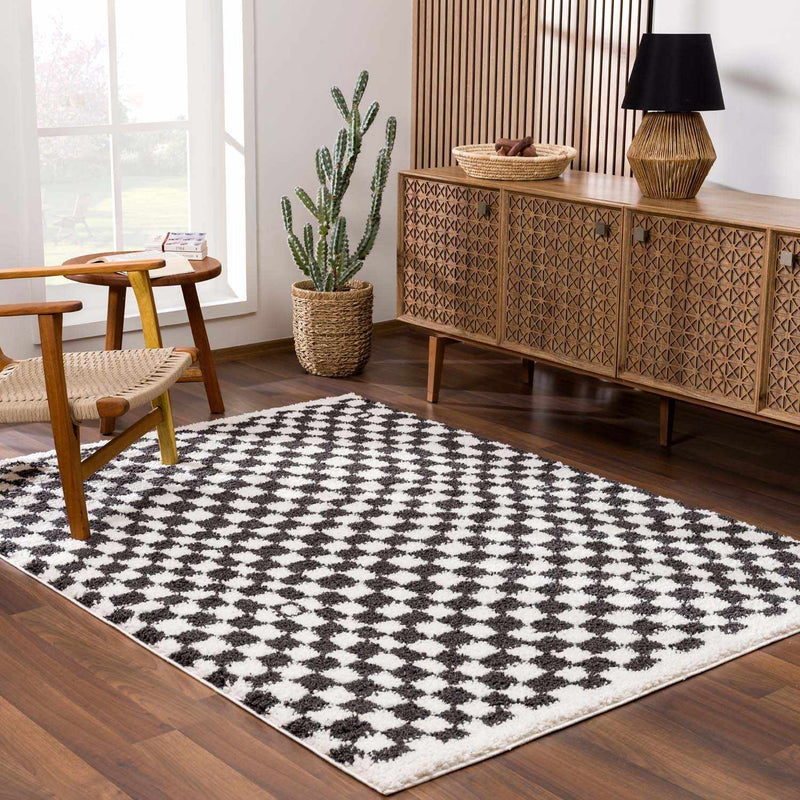 Kieu Black & White Checkered Shag Rug