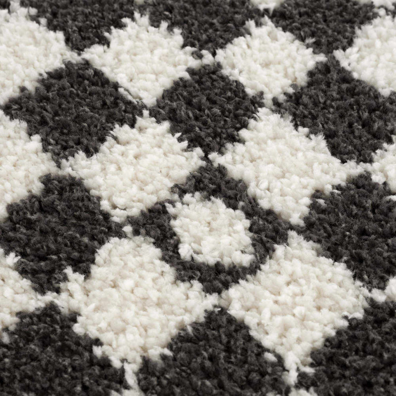 Kieu Black & White Checkered Shag Rug