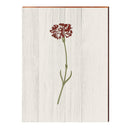 Vintage Botanical Carnation | Wall Art Print on Real Wood