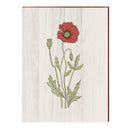 Vintage Botanical Poppy | Wall Art Print on Real Wood