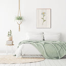 Vintage Botanical Daisy | Wall Art Print on Real Wood
