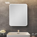 20 x 28 Inch Silver Metal Framed Wall Mount or Recessed Bathroom Medicine Cabinet with Mirror