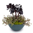 Concrete Basin Tabletop Planter