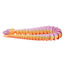 3D Printed Boa Snake Fidget | Multiple Colors | Black Sheep Products LLC