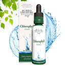 Buried Treasure Liquid Nutrients Chlorophyll Drops, 50 mg per Serving, 2 oz (30 Servings)
