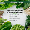 Buried Treasure Liquid Nutrients Chlorophyll Drops, 50 mg per Serving, 2 oz (30 Servings)
