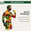 Buried Treasure Liquid Nutrients Chlorophyll Drops, 50 mg per Serving, 2 oz (30 Servings)