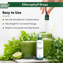 Buried Treasure Liquid Nutrients Chlorophyll Drops, 50 mg per Serving, 2 oz (30 Servings)