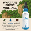 Fulvic Mineral Drops – High-Concentration Fulvic Acid, 2 fl oz
