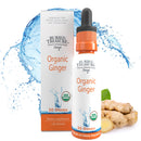 Buried Treasure Liquid Nutrients Organic Ginger Digestive Drops 30 Servings