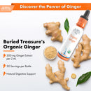 Buried Treasure Liquid Nutrients Organic Ginger Digestive Drops 30 Servings