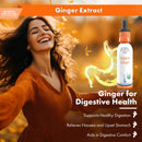 Buried Treasure Liquid Nutrients Organic Ginger Digestive Drops 30 Servings
