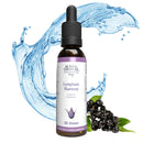 Buried Treasure Liquid Nutrients Lymphatic Harmony Drops - Supports Immune Health