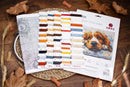 Cocker Spaniel Counted Cross-Stitch Kit by Luca-S BU5058L