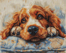 Cocker Spaniel Counted Cross-Stitch Kit by Luca-S BU5058L