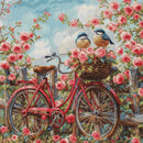 Bicycle with Roses Counted Cross-Stitch Kit by Luca-S BU5061L