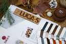 Owls in The Silence of Winter BU5077L Counted Cross-Stitch Kit