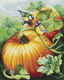 Birdies On Pumpkin Autumn Blue Tits Counted Cross Stitch Kit by Luca-S BU5094L