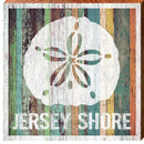Jersey Shore Sand Dollar Orange Boards | Wall Art Print on Real Wood