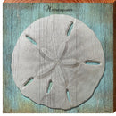 Manasquan Sand Dollar | Wall Art Print on Real Wood
