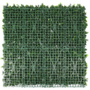 Sample Panel – White Flowering Boxwood Green Wall (Small Sample)
