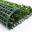 Sample Panel – White Flowering Boxwood Green Wall (Small Sample)
