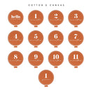 Balloon Birth Milestone Card