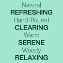 Balsam Noir Naturally Scented Candle