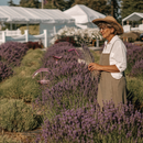Lavender Body Butter | Multiple Sizes | Our Lavender Co
